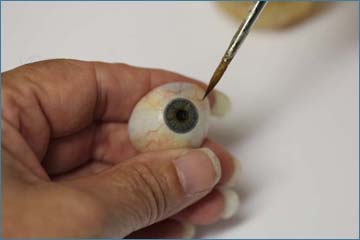 Preserved Eyeball - OddArticulations, LLC