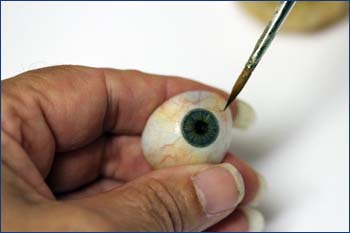hand crafted artificial eyes - Monoplex Eye Prosthetics – Studley Ocular Labs – Sturbridge MA, Bedford NH, Portland ME, Worcester MA