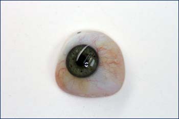 Ocular Prosthetics - Monoplex Eye Prosthetics and Studley Ocular Labs - Sturbridge, MA - Bedford NH - Portland ME - Worcester MA